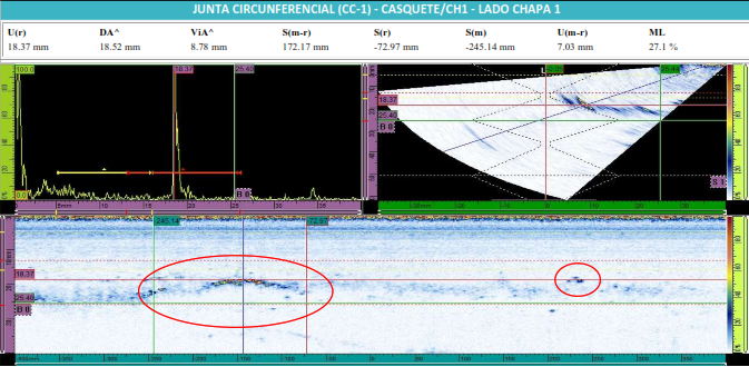 Inspección y Monitoreo
